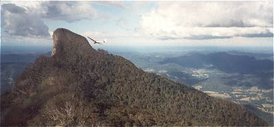 glider soaring Mt Warning