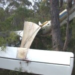 Jabiru Crash Wedderburn NSW